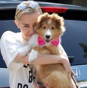 TOP  TEN CELEBRITIES WHO CAN’T HIDE THEIR LOVE FOR DOGS