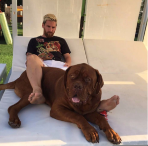 TOP TEN CELEBRITIES WHO CAN’T HIDE THEIR LOVE FOR DOGS