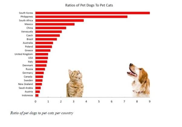 ARE YOU A CAT OR A DOG PERSON? The Link Between Your Personality & Pet ...
